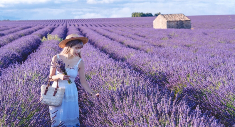 cac loai hoa mau tim dep nhat the gioi va viet nam