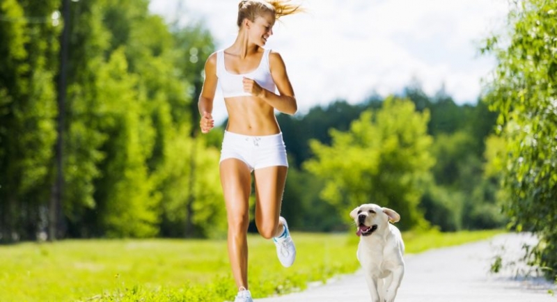 tat ca moi thu ban muon biet ve tay long